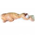 Frozen Pork