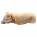 Frozen Pork