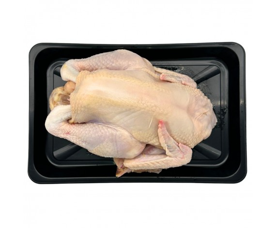 FROZEN KAMPONG CHICKEN | ±1.1KG/PC | 冷冻甘榜全鸡 | SG