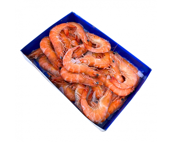 Frozen Seafood