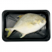Frozen Seafood