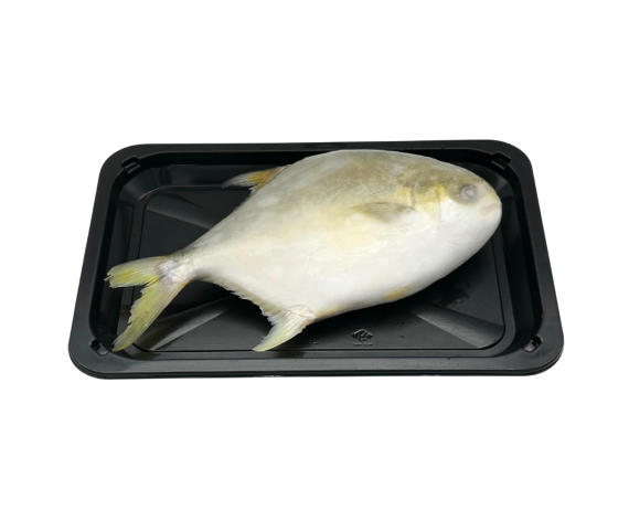 Frozen Seafood