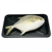 Frozen Seafood