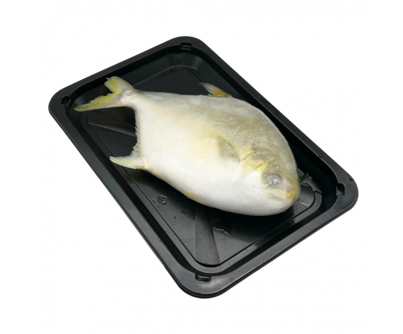 Frozen Seafood