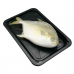 Frozen Seafood