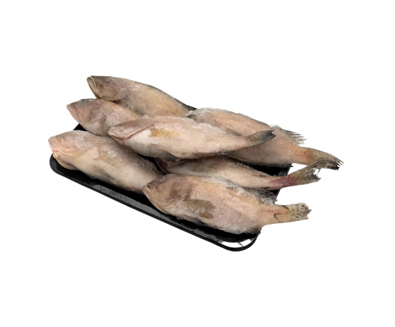 Frozen Seafood