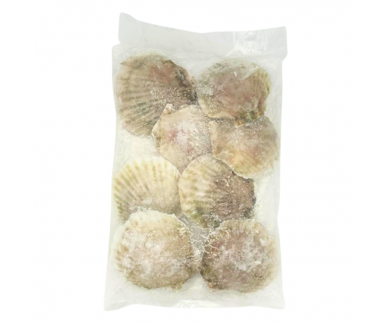 Frozen Seafood