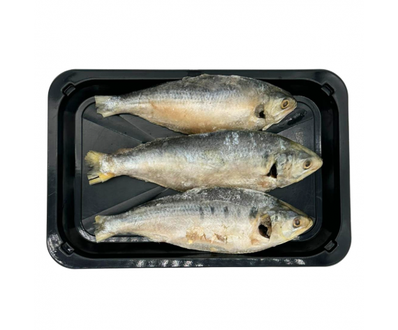 HILSA FISH GUTTED | 20% ICE GLAZING | 100-200G | 1KG | 去肚希尔萨鱼 (云鲥) | MM