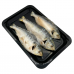 Frozen Seafood