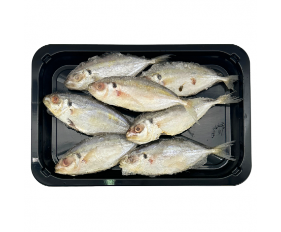 FROZEN YELLOW BANDED SCAD | IKAN KUNING | GUTTED | 15-20PCS/KG | 1KG/PKT | 椰浆饭小黄线鱼 | TH