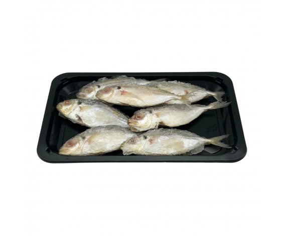 Frozen Seafood