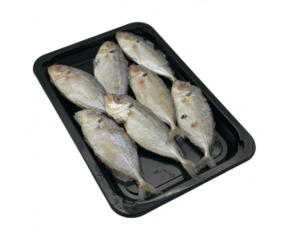 Frozen Seafood
