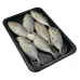 Frozen Seafood