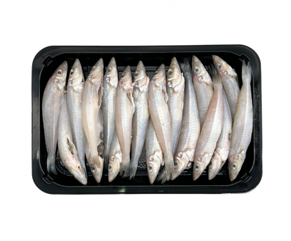 FRESH FROZEN SILVER SILLAGO FISH GUTTED (LADY FISH) | 500G | 清肚沙尖鱼 | ID