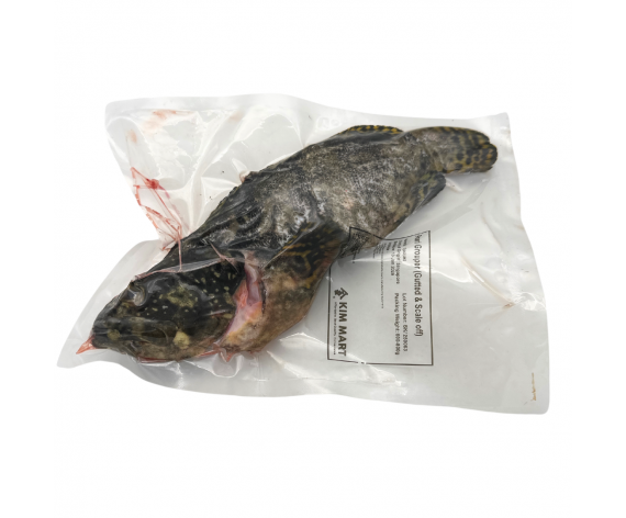 Fish