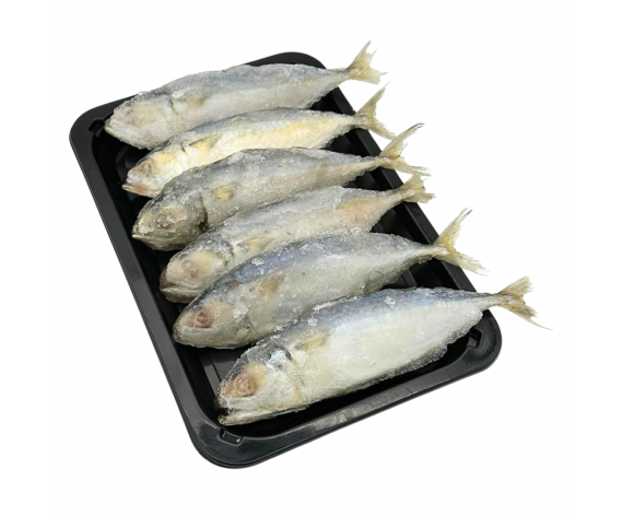 Frozen Seafood