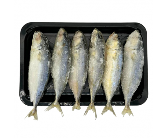 SELAR FISH | GUTTED |  6-8PCS/KG | 1KG/PKT | 色拉鱼 | 去肚 | VN