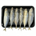 Frozen Seafood