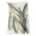 Frozen Seafood