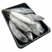Frozen Seafood