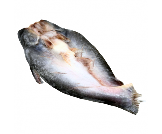 Frozen Seafood