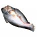 Frozen Seafood