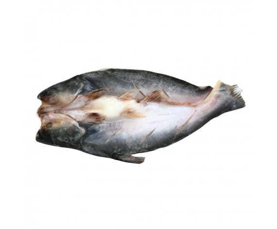 Frozen Seafood