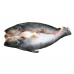 Frozen Seafood