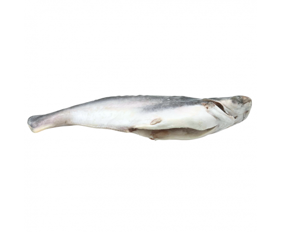 Frozen Seafood