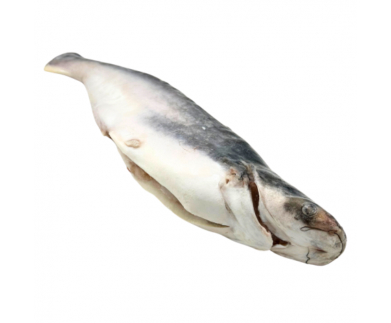 Frozen Seafood