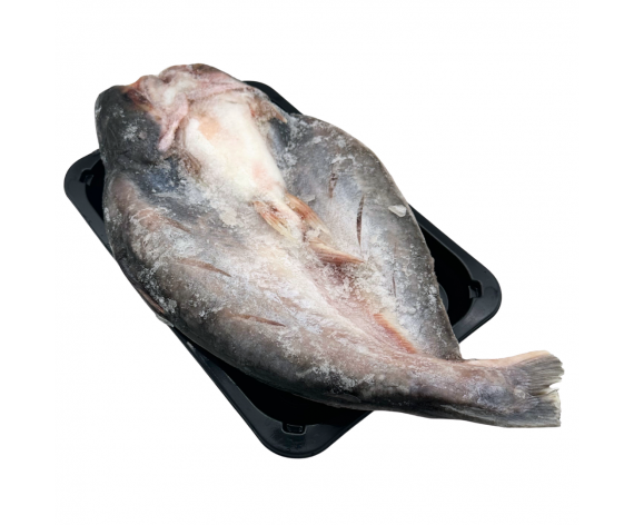 Frozen Seafood
