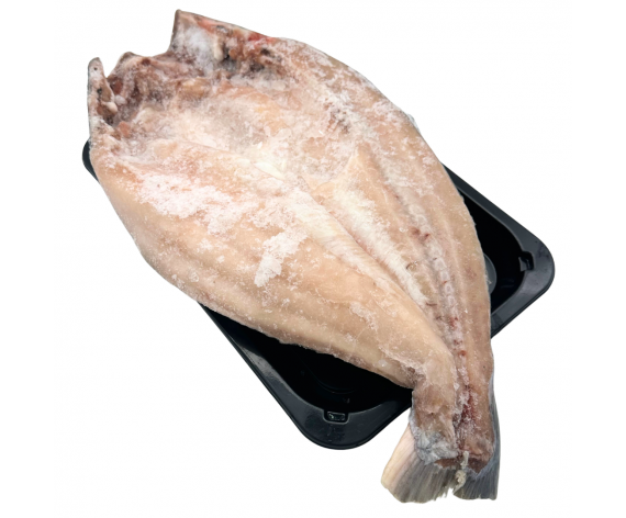 Frozen Seafood