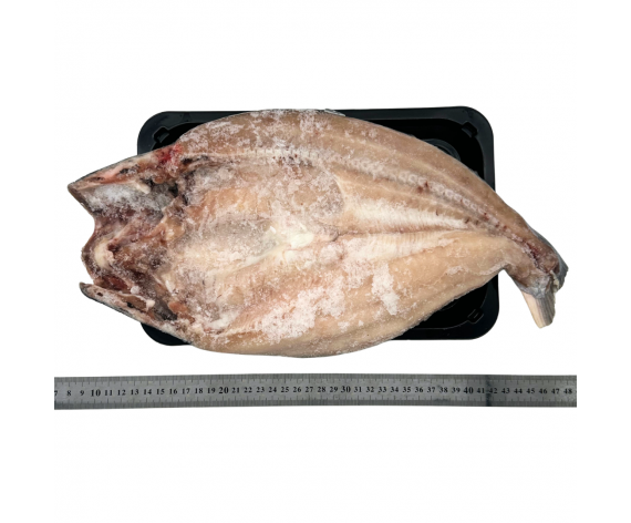 VIETNAMESE PANGASIUS FISH | BUTTERFLY CUT | 700-900G/PC | 多利鱼清肚开半 | VN