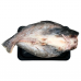 Frozen Seafood
