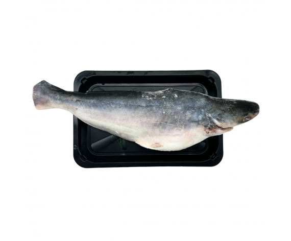 Frozen Seafood