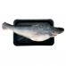Frozen Seafood