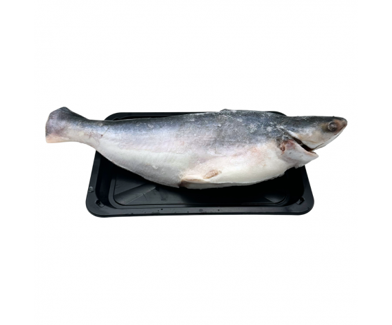 Frozen Seafood