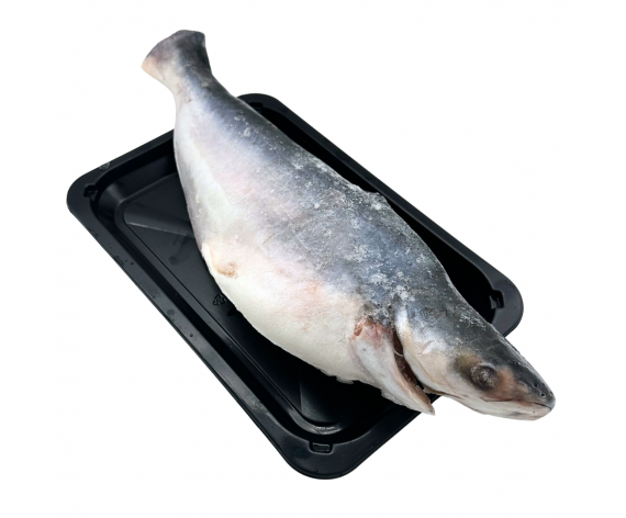 Frozen Seafood