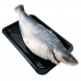 Frozen Seafood