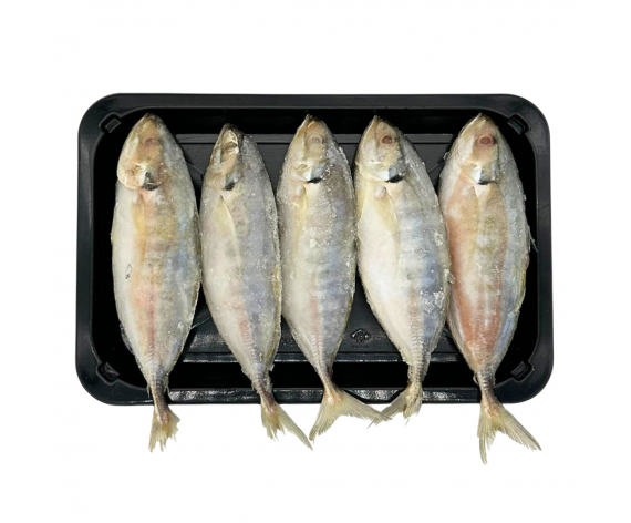 YELLOW TAIL SCAD MACKEREL | SELAR FISH | 30% ICE GLAZING | GUTTED | 8/12 | 1KG | 去肚色拉鱼 | VN