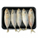 Frozen Seafood