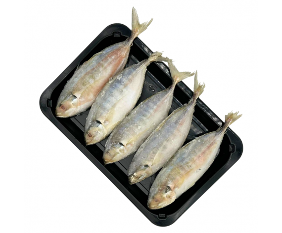 Frozen Seafood