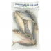 Frozen Seafood