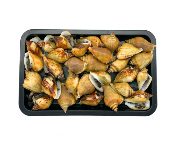 FROZEN SEA SNAIL | GONG GONG | 1KG/PKT | 海螺(贡贡) | ID