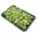 Frozen Vegetable & Fruits