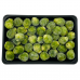 Frozen Vegetable & Fruits