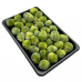 Frozen Vegetable & Fruits