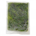 Frozen Vegetable & Fruits